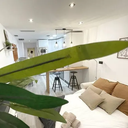 Casa Pilarica Casco Antiguo Lägenhet